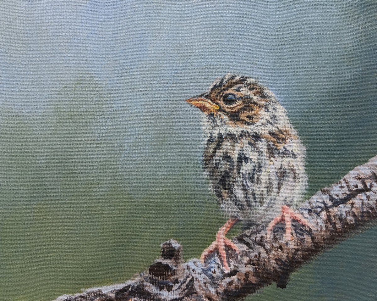 LeightonCentre's tweet image. Calgary artist Meagan Ody has just joined our #MonthlyMembersCollection with a beautiful nature series! 

Check out the entire collection at shop.leightoncentre.org.

#yycarts #abarts #explorefoothills #albertaartist #meaganody #explorealberta #canadianart #instaart #natureart