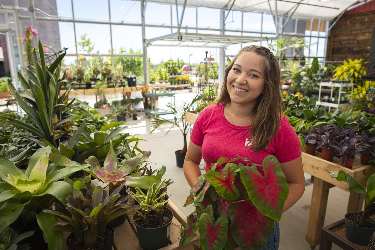 FranzWitte's tweet photo. We're #hiring in all departments! At Franz Witte you'll not only build beautiful landscapes and take care of awesome plants, but you'll get to work with some of the best people in the business. Find your dream job here:
https://t.co/vdyxWXQEEY https://t.co/dKe4p07pGR
