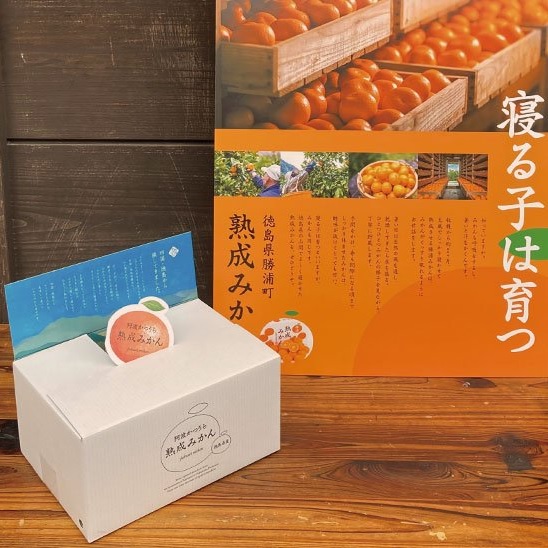 katsuura_soumu's tweet photo. 道の駅オンラインショップにて「ギフトBOX（3kg）」限定販売です。「ちょっと特別なものを贈りたい」「贈った方を驚かせたい」
そんな時にはこのギフトがおすすめ！
https://t.co/Fl9LMn243v　＃熟成みかん　＃道の駅ひなの里かつうら　＃勝浦みかん https://t.co/HcsCWQGNFt