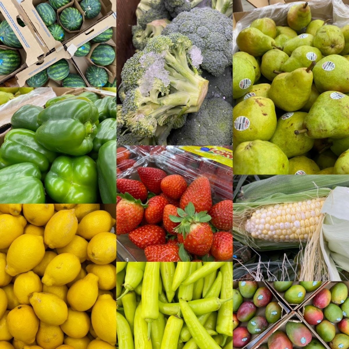 March is National Nutrition Month!
This year's theme is Celebrate a World of Flavors! Throughout March, embrace rescued produce as you make your cultural culinary delights!  Learn more about #NationalNutritionMonth