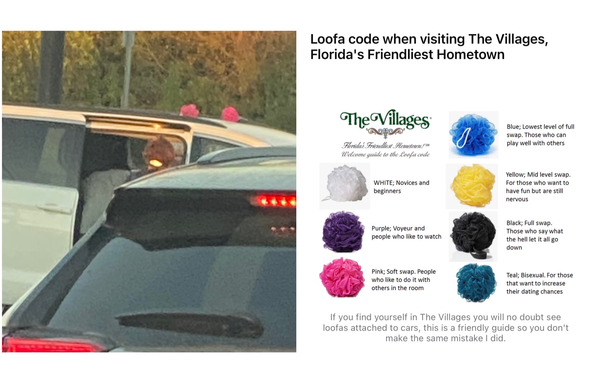 Jerrie 🧡🐅🖤 on X: "I've lived in Florida for 5 years and I've never seen  this in the wild before 😳 they had pink loofas on their car… and turned  into a