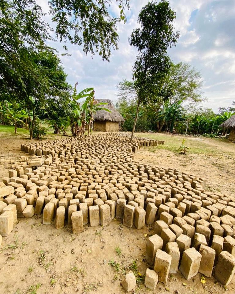 luigerman tweet media