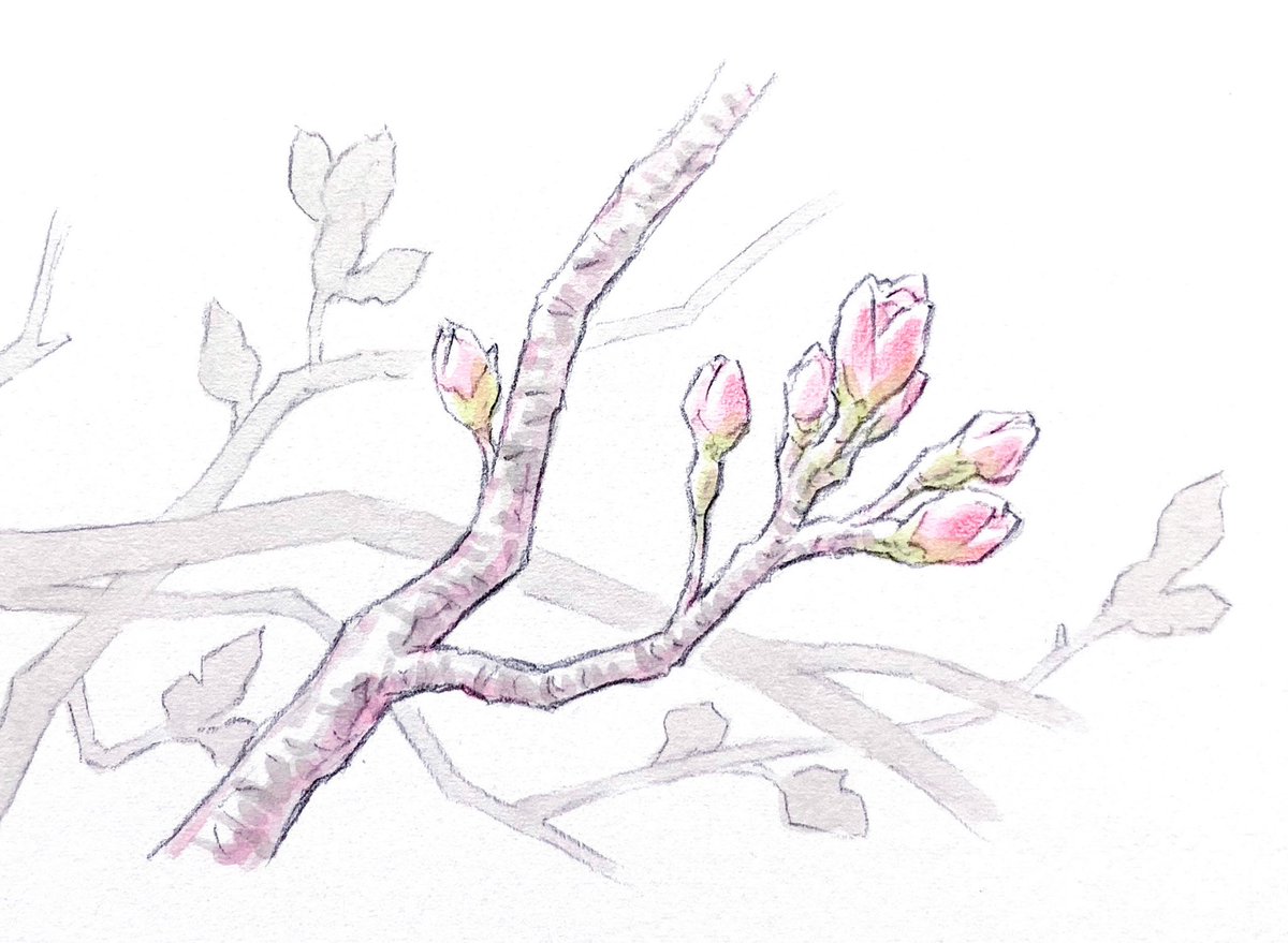 「もうすぐ春。一年が早いなぁ。 」|窪之内 Eisaku 英策のイラスト