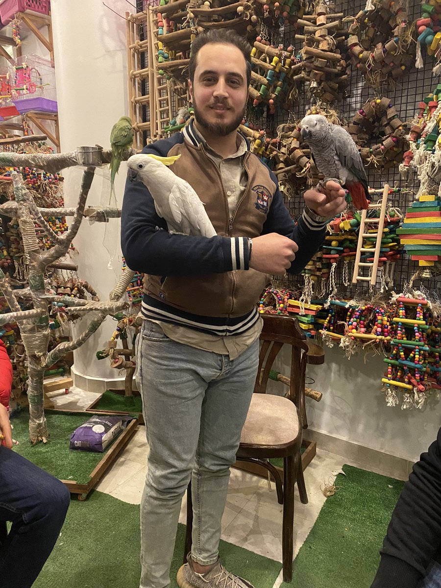 Serdo0o's tweet photo. 🦜♥️ https://t.co/jkoHMzCgPS