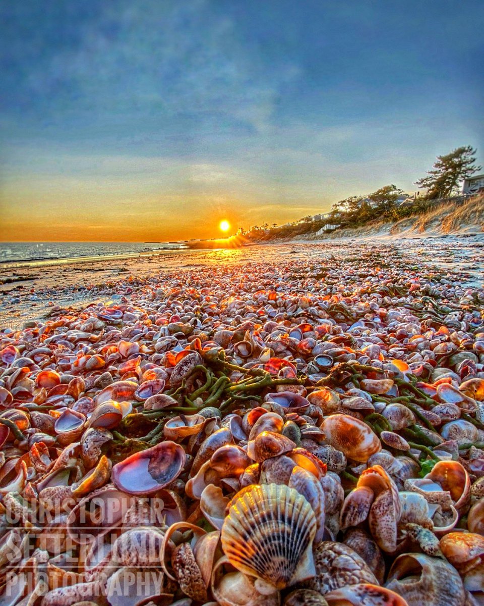 Colorful seashells on a calm afternoon on Cape Cod. Harwich, MA
@VisitCapeCod @VisitMA @500px @Chronicle5 @yankeemagazine #capecod #sunset #photography
