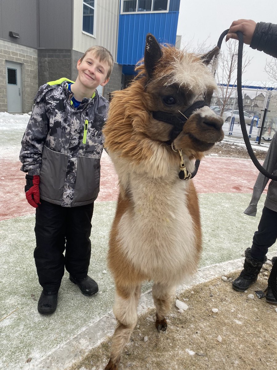 Ms.McNab tweet media