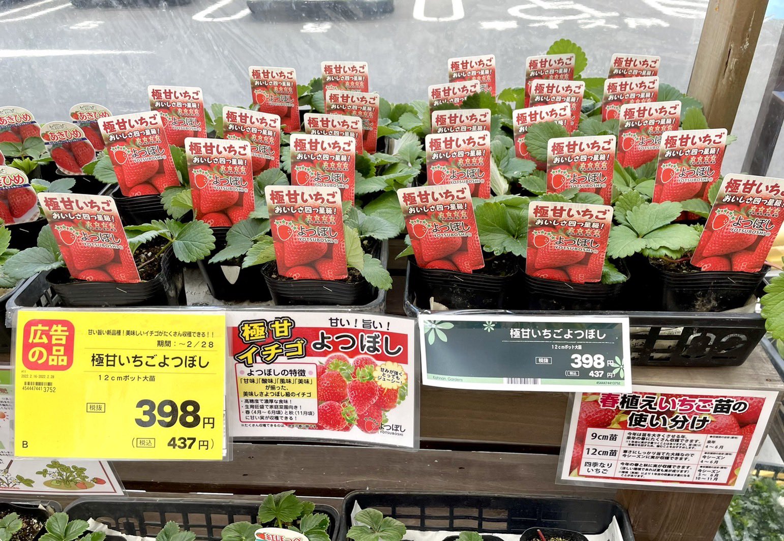 ホームセンターコーナン 公式 兵庫県のコーナン本山店から教えてもらったのですが ボチボチお店に いちご苗 が入ってきています 暖かくなってきて園芸が楽しくなりますね お店に寄られた際はチェックしてみてください