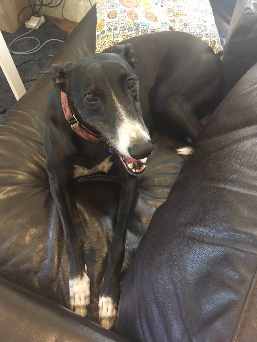 theorbweavers's tweet image. We’ll be performing live at 5pm tonight on @breakenter  @3RRRFM  tune in by radio or live stream video - Susie is art directing from the couch 🧡📻facebook.com/events/s/live-…