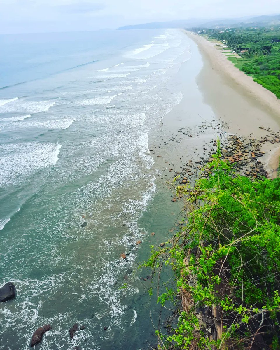 Alexander Ollague R. tweet media