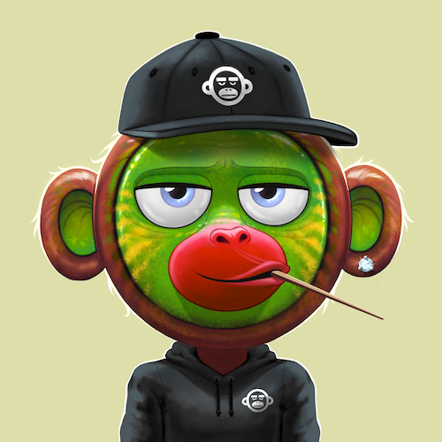 OnChainMonkey® tweet media