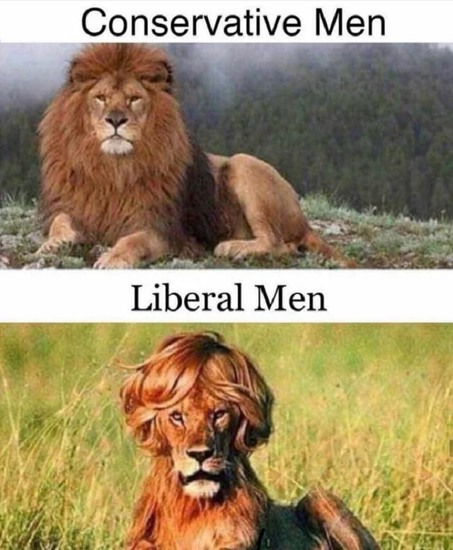 BasketCasePA's tweet photo. I saw this posted unironically and I don't understand https://t.co/p7GrV8YZUe