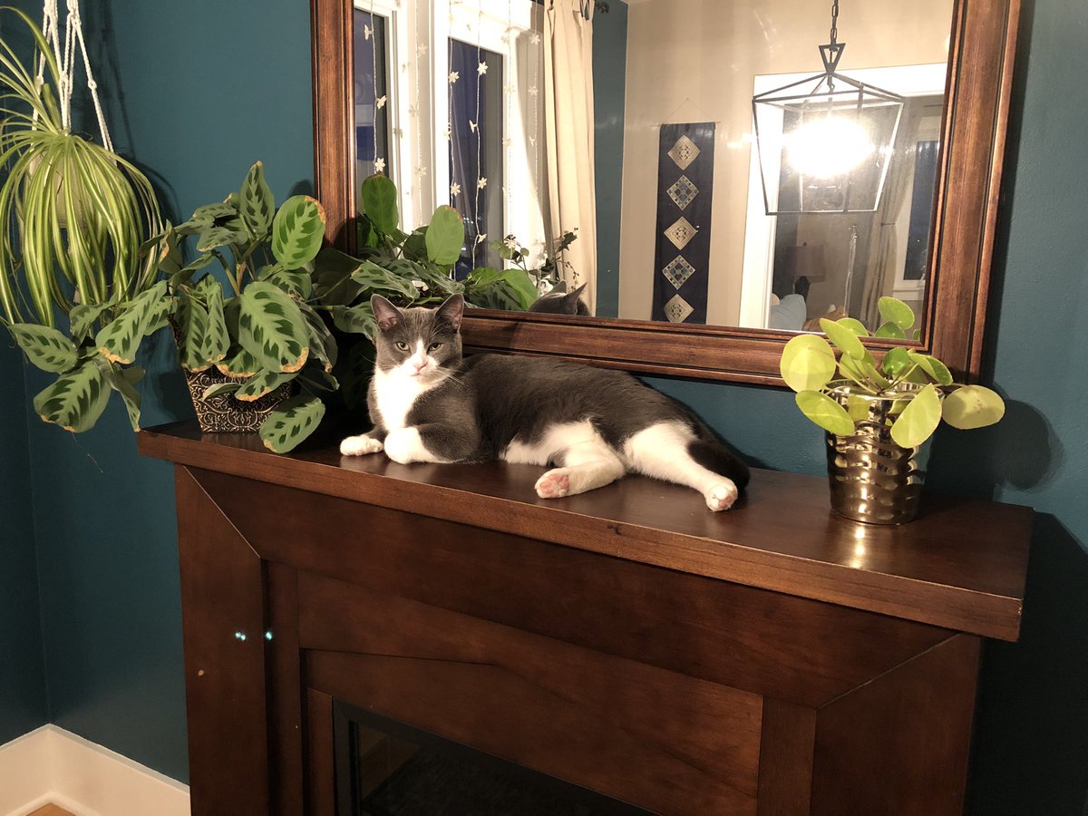 Draw me like one of your French girls.