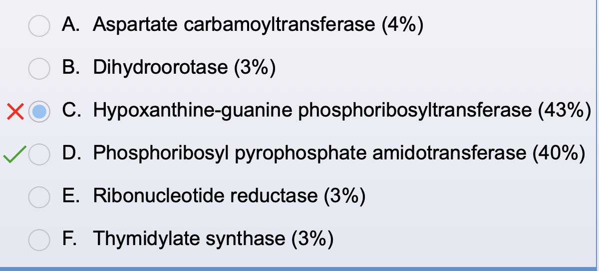 Gabby Librizzi, MD, MPH tweet media