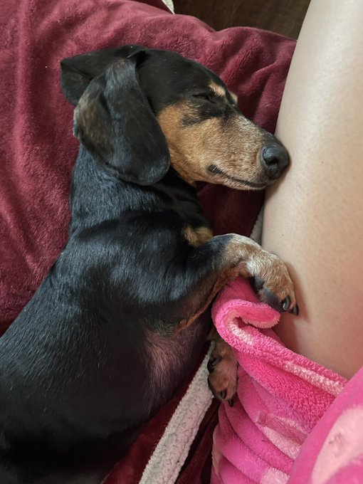 Always touching me 🥰🥰 https://t.co/vlzSrvs9BE