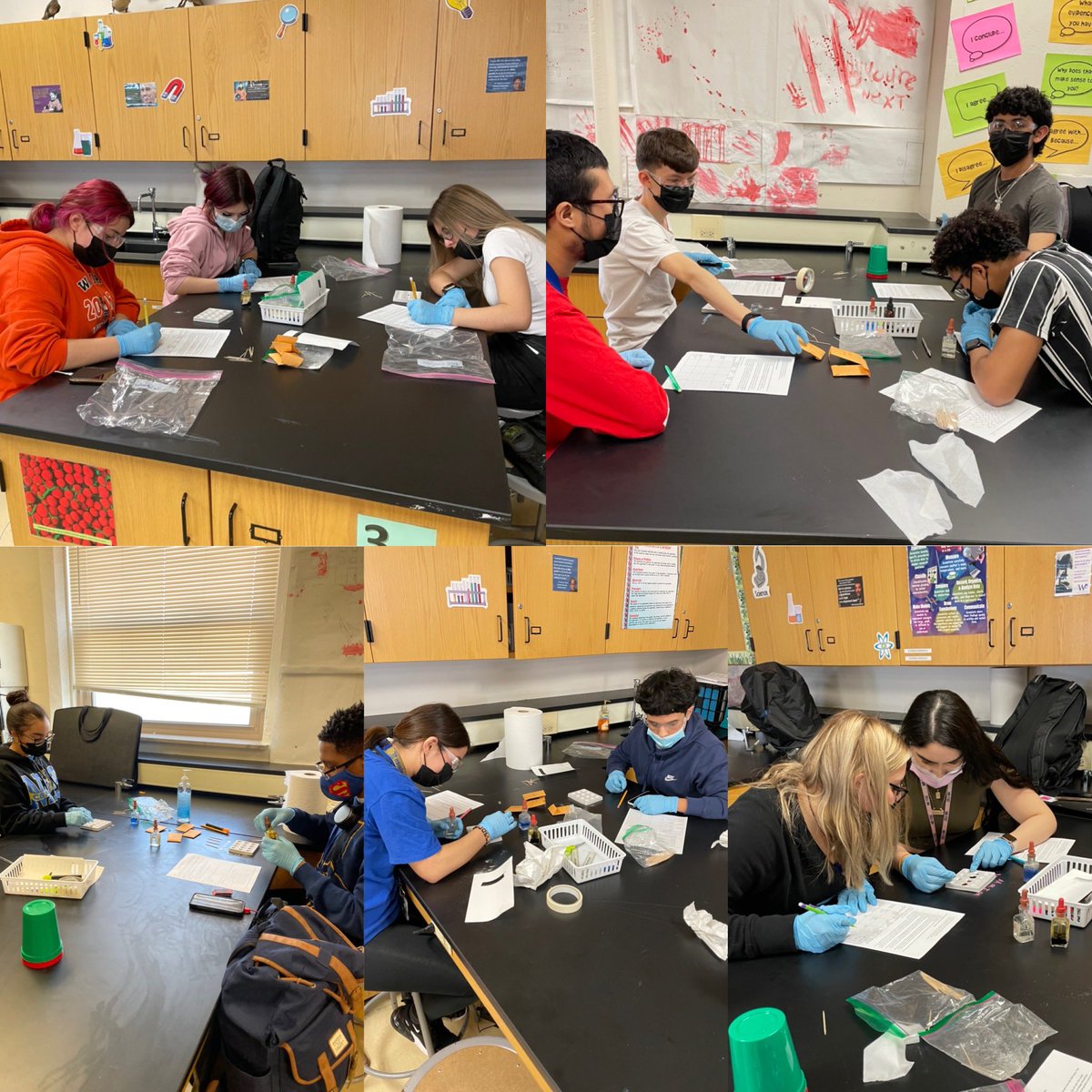 Students practiced presumptive testing, then applied their skills on their summative lab. Awesome collaboration and lab skills! 🥽🧪