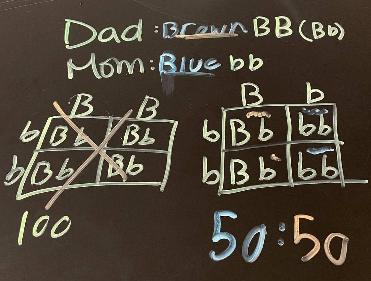Only one student + my mentors for tutoring today, but I’m proud of the work this one student did to work on relearning genetics information to be prepared for a summative! Neon lab markers for the win, here!