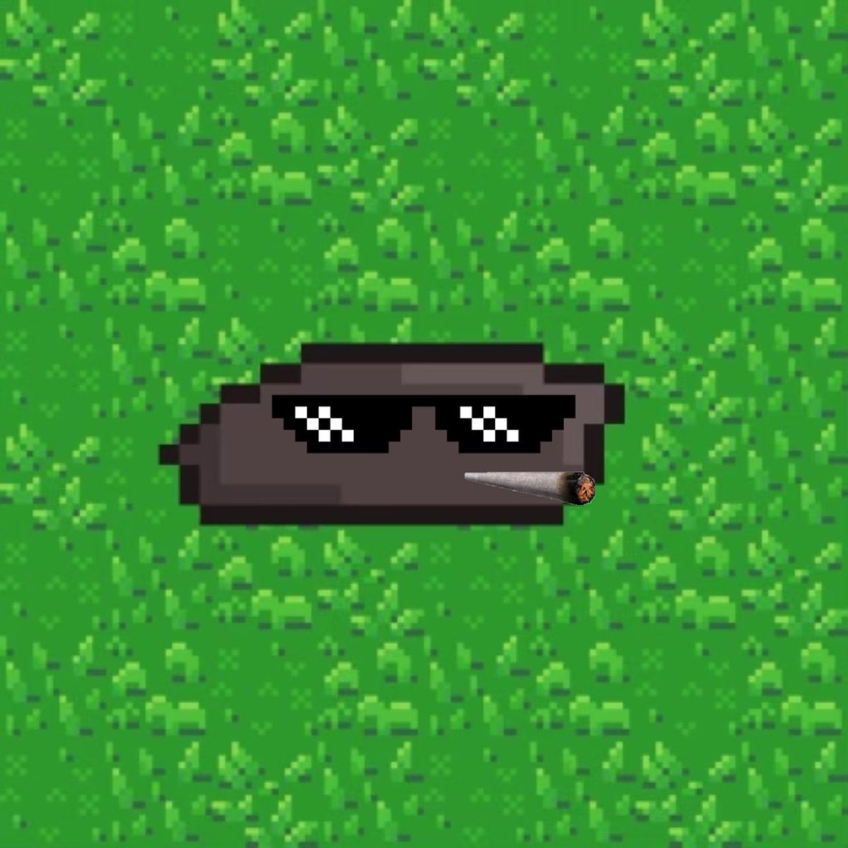 SolPebblesNFT |.2 SOL MINT|MINTING TODAY tweet media