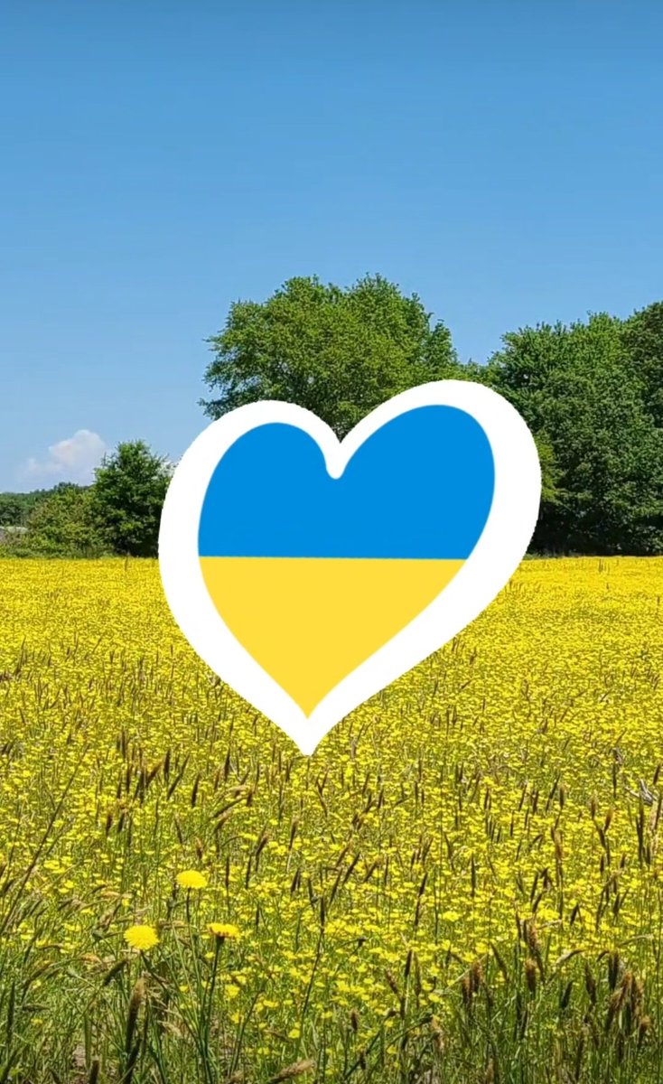 meganar27's tweet photo. #Ukraine #StandWithUkraine #UkraineRussiaWar https://t.co/BBcy2Bw4kr