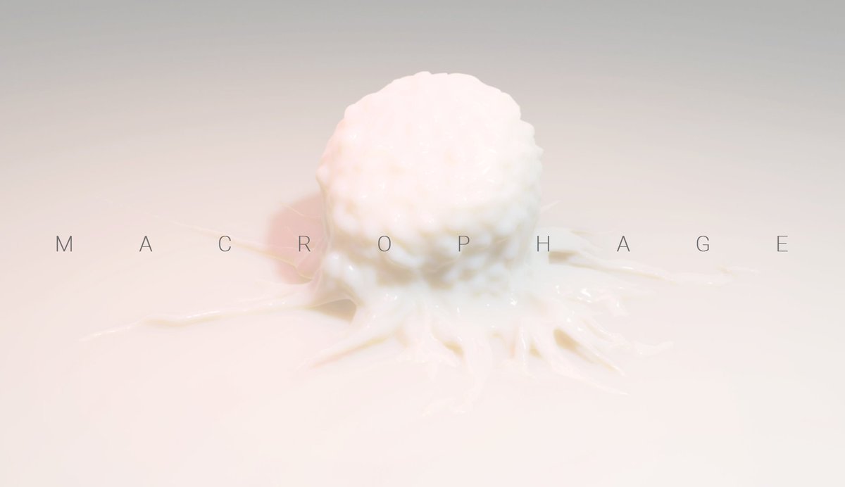 Macrophage. Currently inside the theatre of you.
#blenderart #sciart