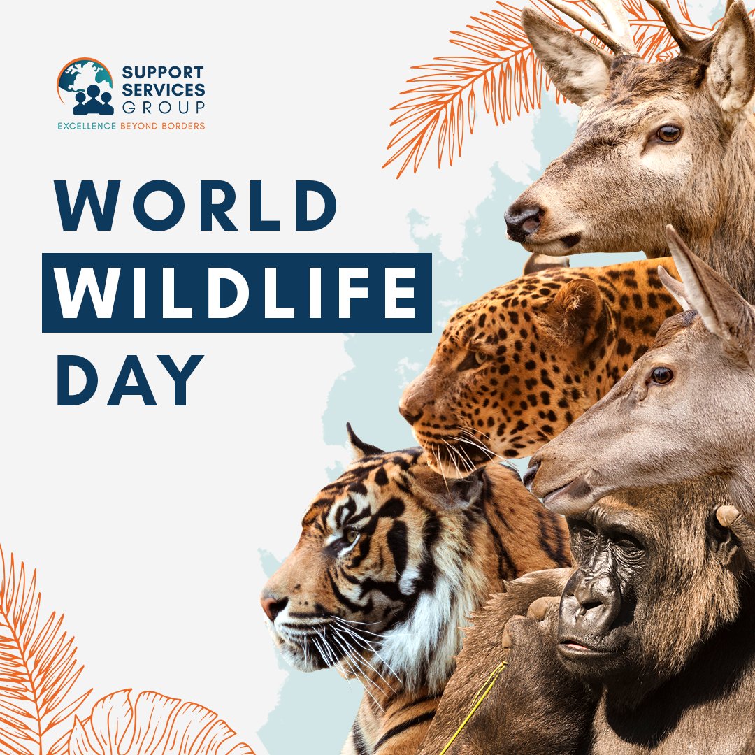 asiapremierbpo's tweet photo. World Wildlife Day is an annual global event dedicated to all kinds of wild plants and animals.
Today, let's pledge our support in the conservation and protection of these species. 🦅🐘🌲
#WorldWildlifeDay #ExcellenceBeyondBorders https://t.co/jEdC3FgXob