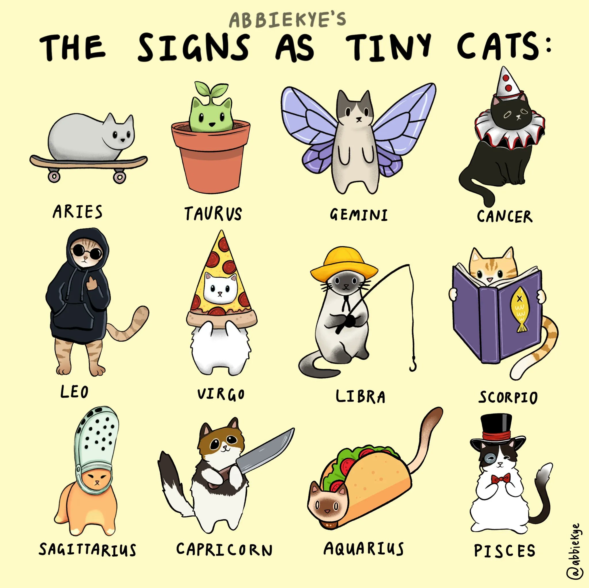 Meowed on Twitter "Zodiac signs as cats meowed meowedofficial 