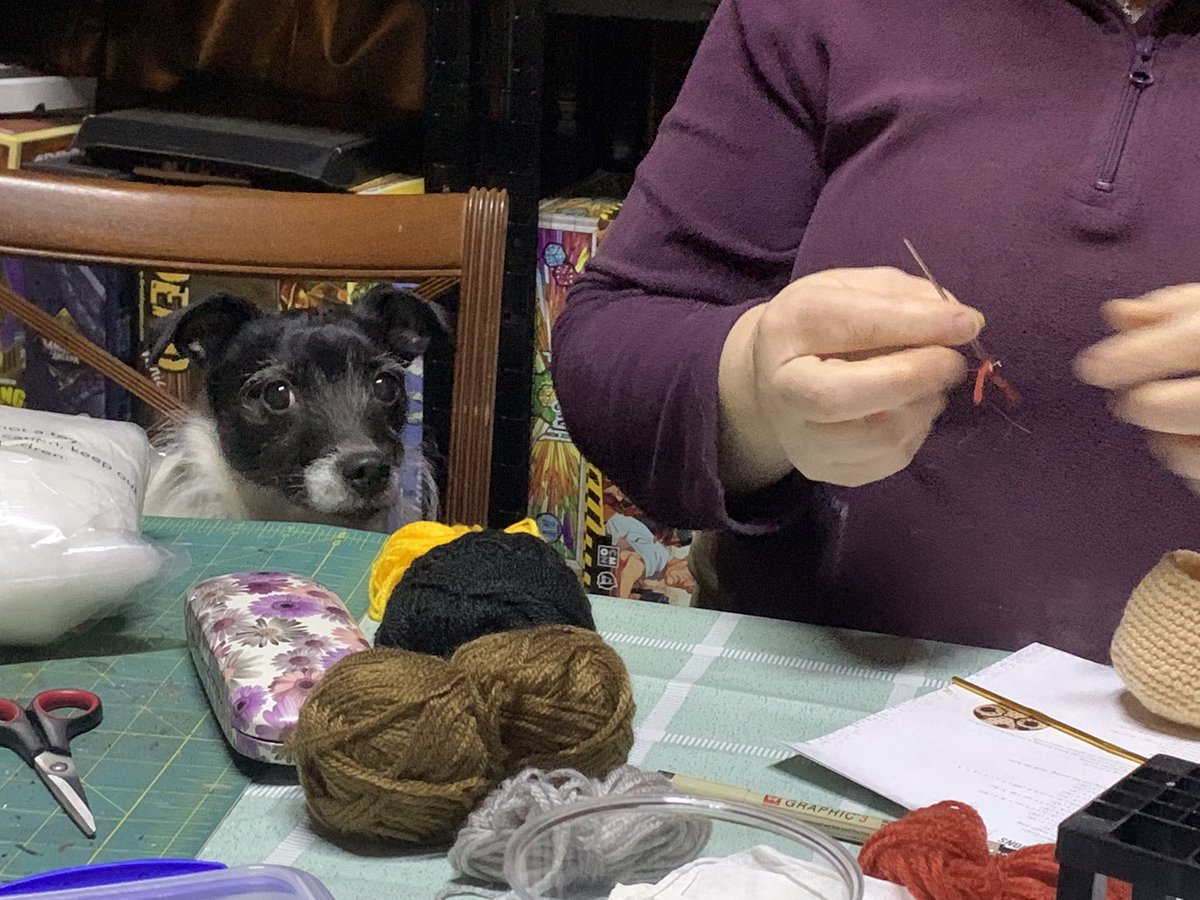 NavajoBirdsong's tweet photo. @GrendelPumpkin helping auntie @Orkneywren with #craftsnight https://t.co/4vM3fIIF30