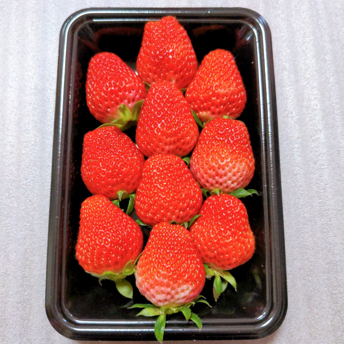 Akochannouen's tweet photo. ✨Twitter開設記念キャンペーン✨

熊本県の朝採り苺1箱（2P入り）🍓

10名様プレゼント✨🎁✨🍓✨

フォロー＆いいね＆リツイートで応募完了✨

コメントもお待ちしてまーす🙌✨
（全て読みます🙆🏻‍♀️）

当選した方は画像をぜひ載せてください♪

締切は3月8日（火）まで🍓🍓🍓 https://t.co/S4g8tSImtA