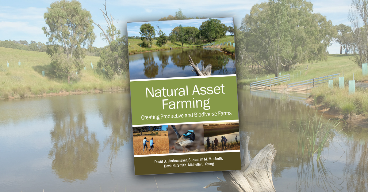 SusFarms_ANU's tweet photo. Out this week! Our new book #NaturalAssetFarming is a practical tool for enhancing seven natural assets on farms. 

It draws on our research &amp; on the expertise of farmers who've led the way in protecting #biodiversityonfarms while improving profitability.

https://t.co/z5v9LOlvnr https://t.co/tGQyRkhQiJ