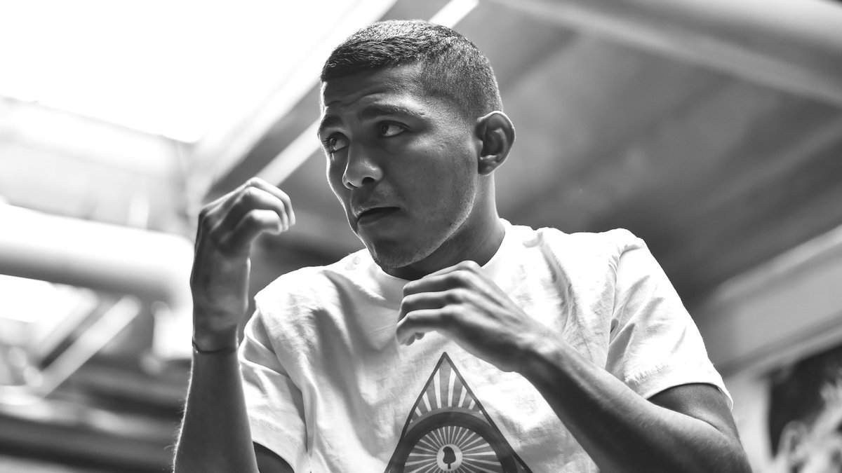 Under the Hand Wraps tweet media