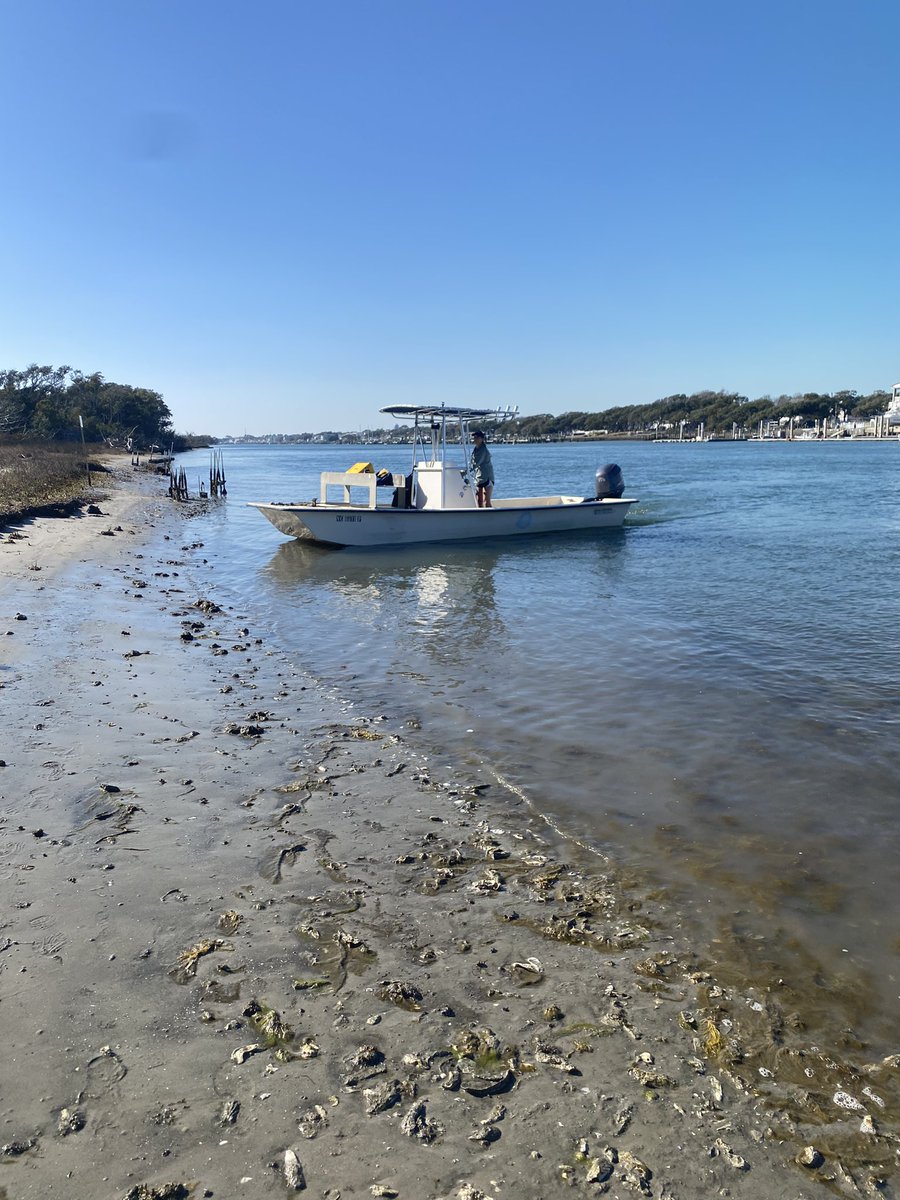 Happy to be back in the field on a beautiful day!