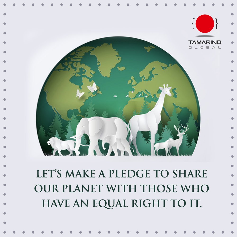 TamarindGlobal's tweet photo. This planet belongs not just to humans, but also to all the flora &amp; fauna that flourish here &amp; make our earth complete. Let’s pledge to preserve them at all costs.

#WorldWildlifeDay
#WildlifeDay #SaveAnimals #SaveWildlife #PreserveWildlife #TamarindGlobalTours #TamarindGlobal https://t.co/nLwTWP9dmt