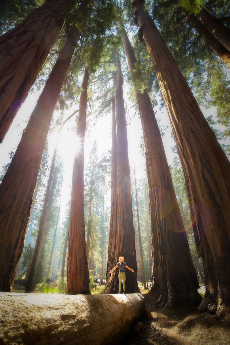 Wander_in2Focus's tweet photo. @f20visuals One of my faves! Hope you enjoy! https://t.co/p4pZtdQGct