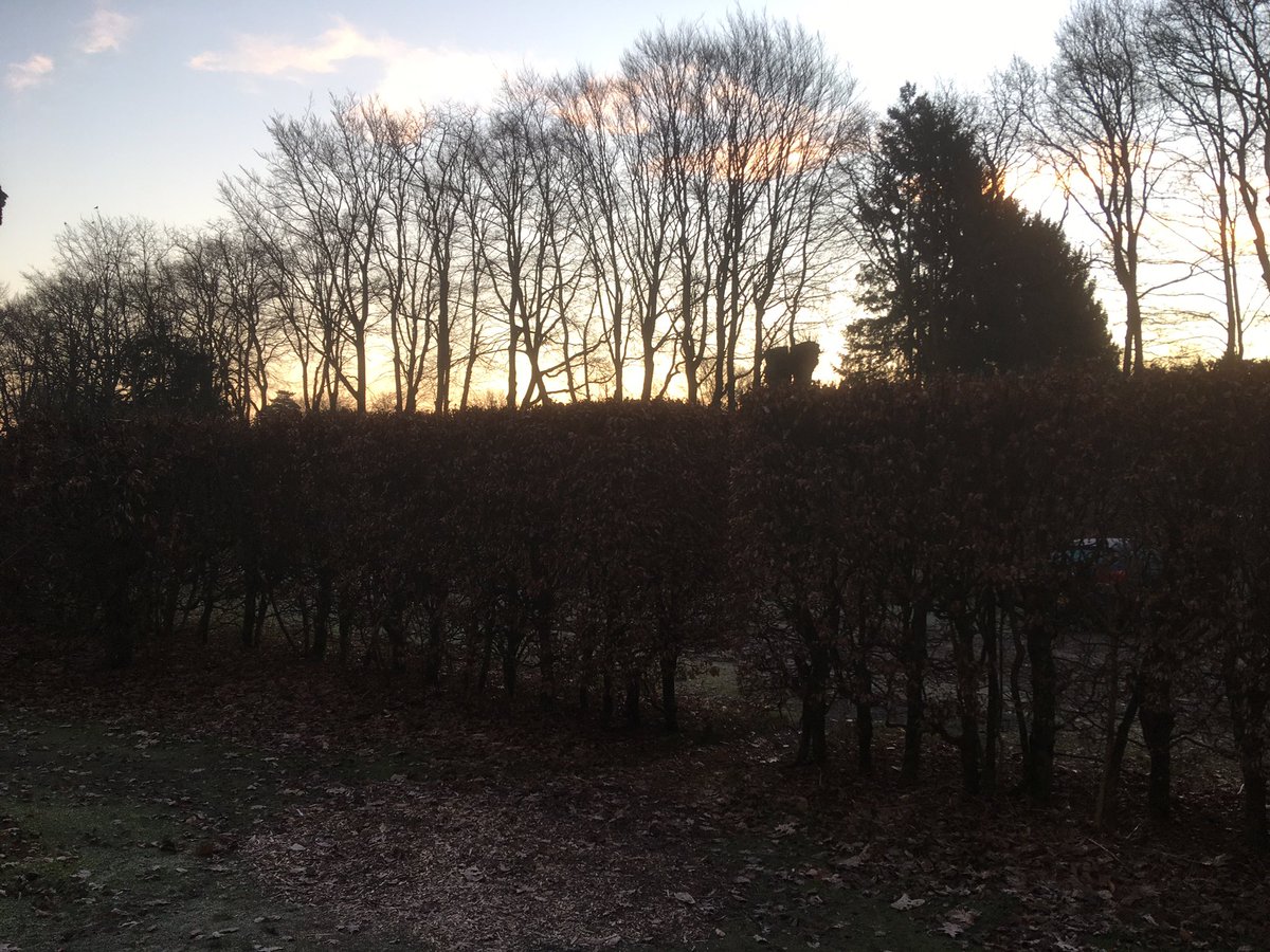 warnerbs's tweet photo. De laatste in deze tussenserie: donderdag 3 maart, 07.18 u #zonsopkomst #hattem #leemkule https://t.co/M0gW879Nqs