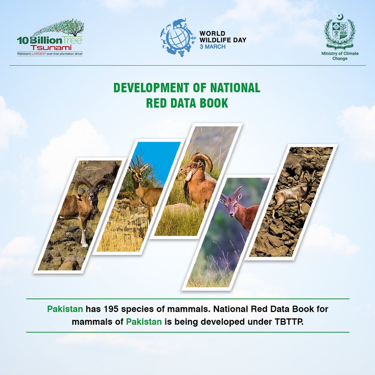 Plant4Pak's tweet image. #TenBillionTreeTsunamiProgram is celebrating #WorldWildlifeDay2022 by taking pledge to conserve &amp;amp; preserve #wildlife &amp;amp;their natural habitats for a better tomorrow. #conservation #restoration @aminattock @zartajgulwazir @sukhera4a  @UNEP @PakPMO @GovtofPakistan @ClimateChangePK