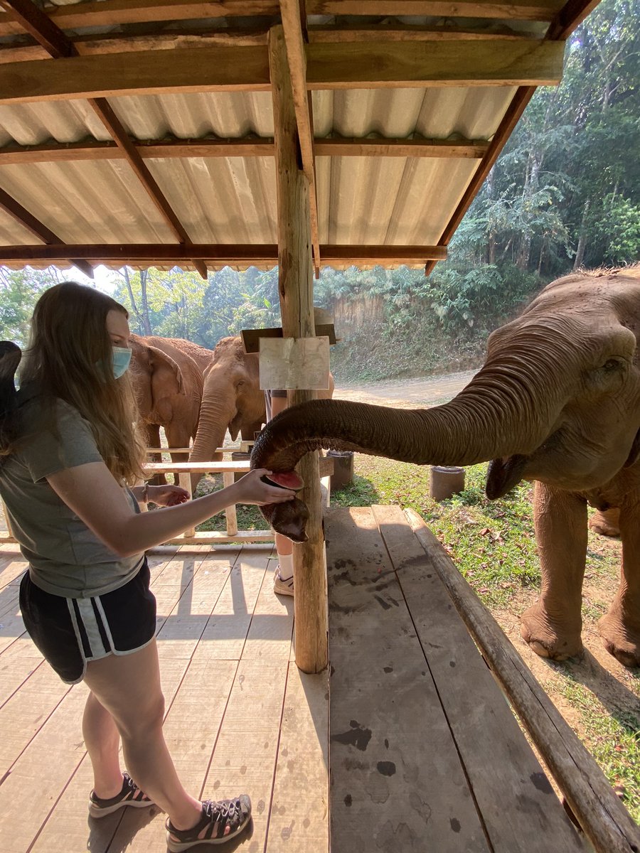 Mark-Anthony Karantabias tweet media