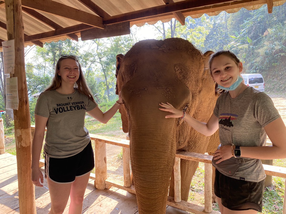 Mark-Anthony Karantabias tweet media