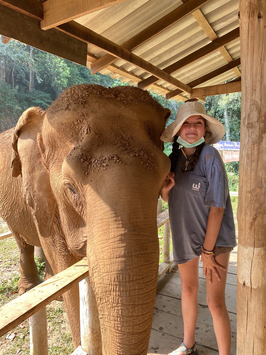 Mark-Anthony Karantabias tweet media