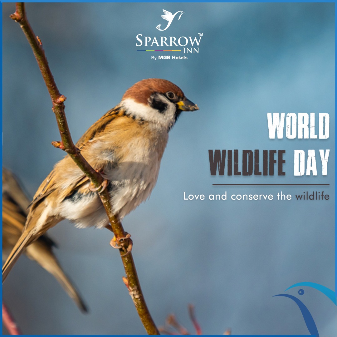 It will not change the world if you will save one animal but it will certainly change the world for that one animal. A warm greeting on World Wildlife Day.

#SparrowInnbyMGBHotels #SparrowInn #HotelsInAlwar #Hotels #WorldWildlifeDay #Animals 
#WildlifeDay #ConserveWildlife