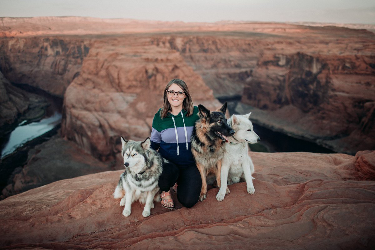 wanderin.wild tweet media