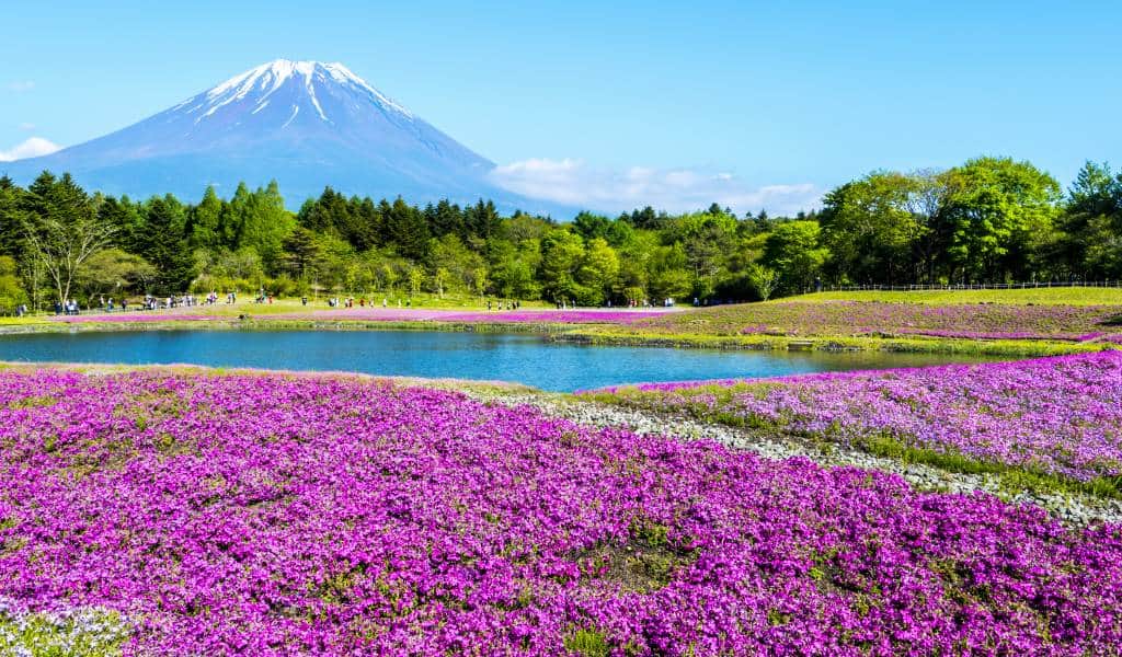 pushpenSarkar13's tweet photo. Yamanashi ken, Japan
Yamanashi is a city located in Yamanashi Prefecture, Japan. 
#travel #nature #beauty #art #like #adventure #explore #beautifulworld #photography https://t.co/xWwpHURPYX