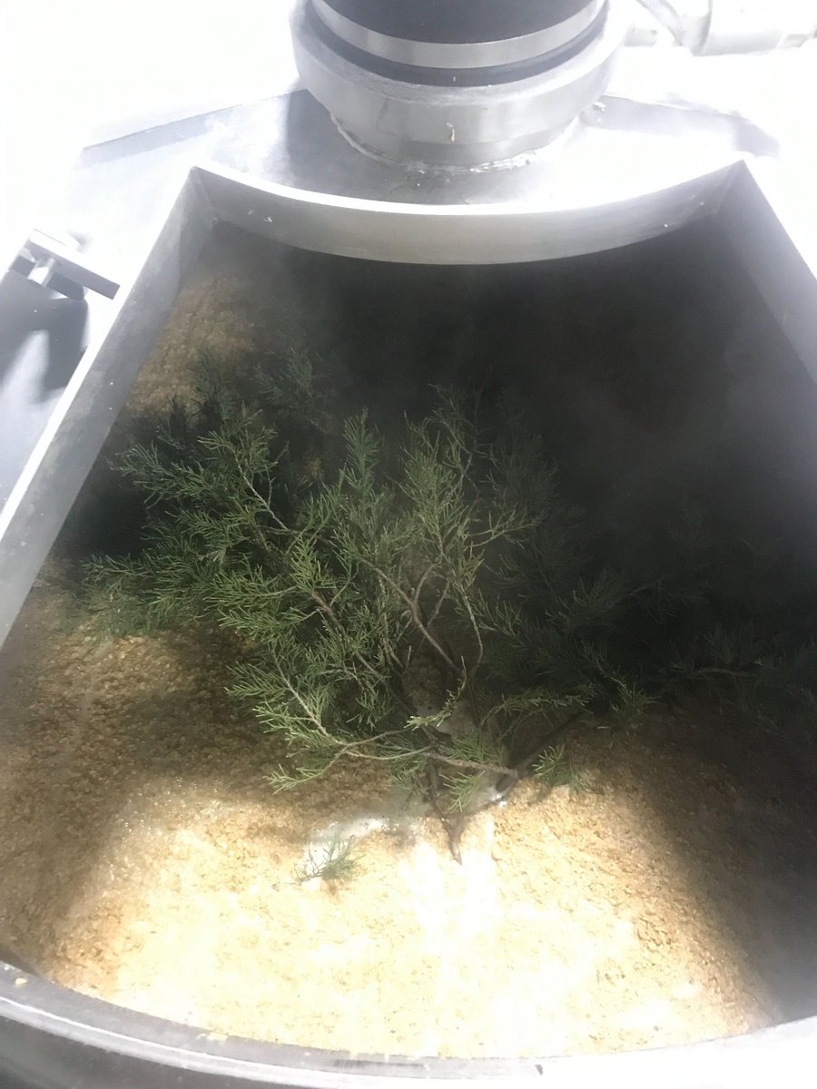 🌲Juniper in the mash and Bergamot in the boil. 
Norwegian Wit, our oddball take on a Witbier, goes on tap Thursday!

#BuiltToBrew #NMcraftbeer #newmexico #craftbeer #albuquerque #losranchos