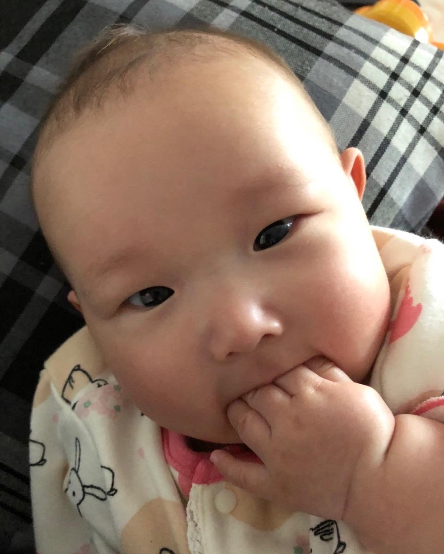 髙塚直樹 キャンプ大好き 片手では物足りなくなったらしい 赤ちゃんのいる生活 女の子ベビー 女の子パパ 成長記録 親バカ部 9月産まれ 5ヶ月 赤ちゃん 指ちゅっちゅ T Co 8hy6l9k0y7 Twitter