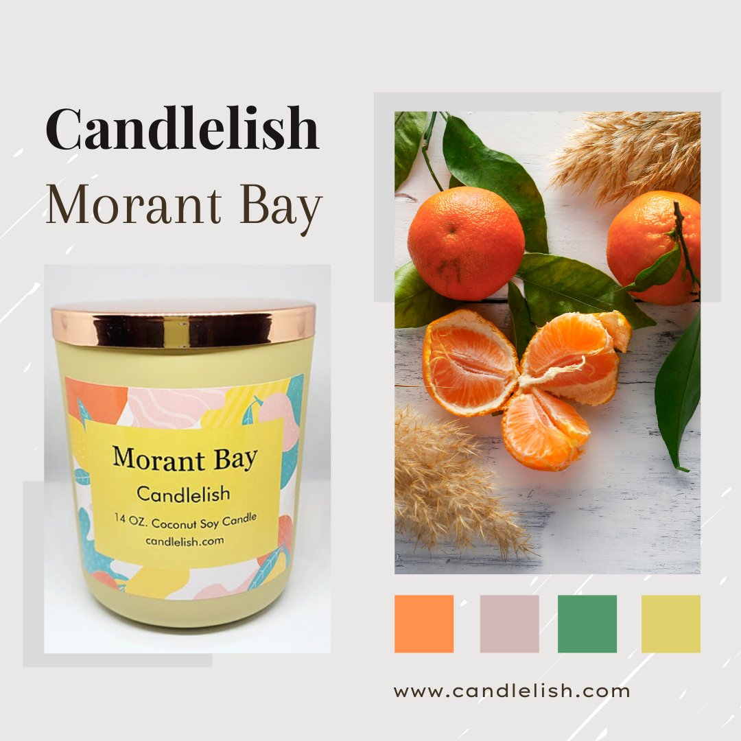 Morant Bay Scented Coconut Soy Candle: Clementine &amp; musk compliment white florals, neroli, and waterlily.  candlelish.com
#soycandles #vegan #crueltyfree #ecofriendlyproducts #candles #cocoapricot #coconutwaxcandles #cocosoy #beeswaxcandles