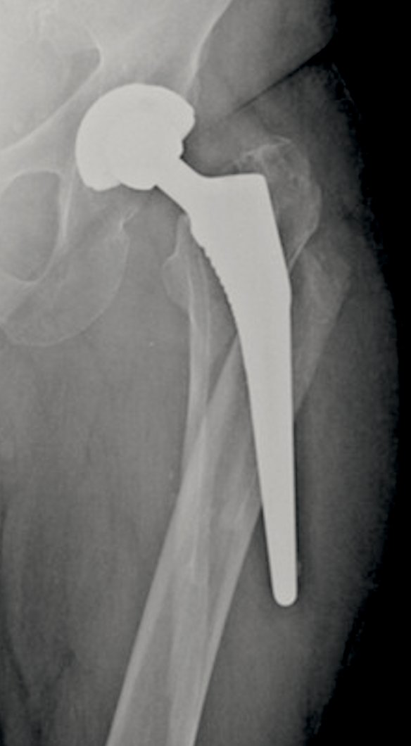 Ortho Reviews tweet media
