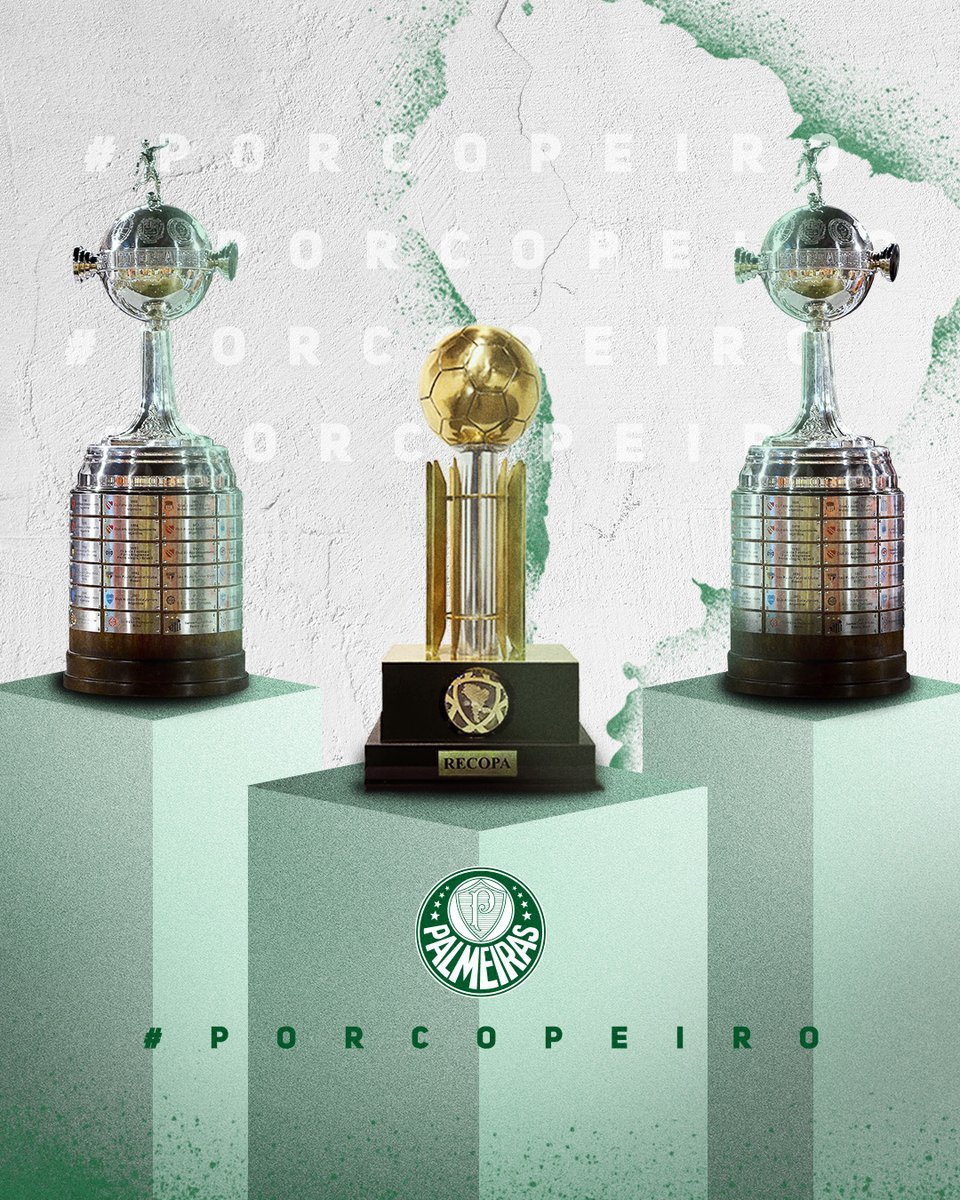 Palmeiras's tweet photo. O forte vento trouxe mais um caneco internacional para o #Porcopeiro! 💨🐷🏆

#AvantiPalestra https://t.co/nyEV66ap6S
