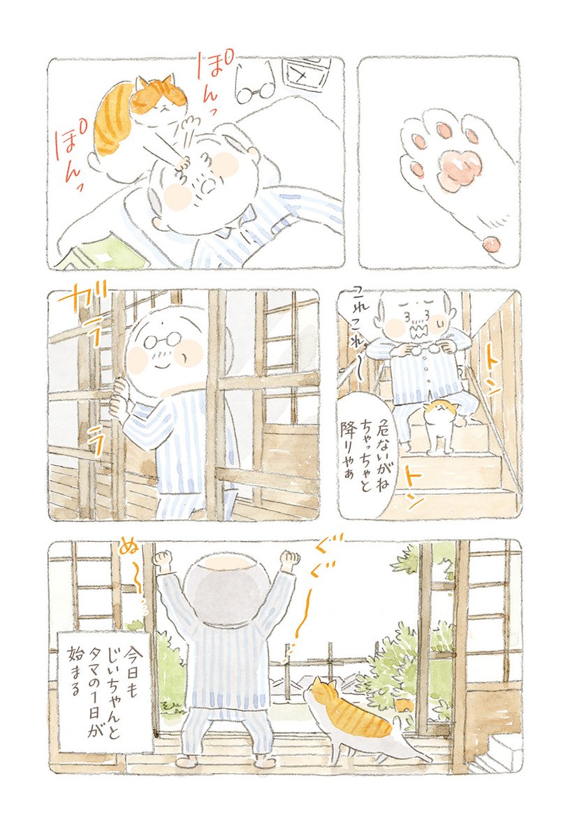 @nekomaki_danna 