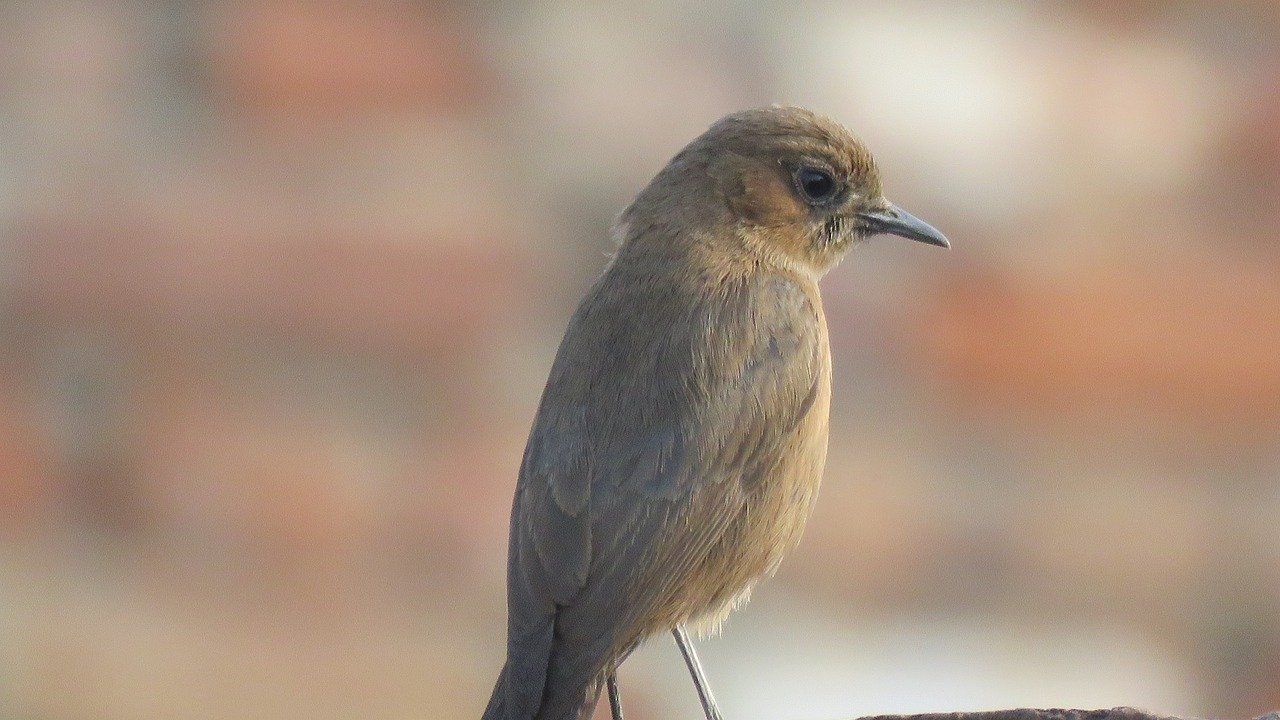 Twitter 上的 TWFFofficial: Twitter 上的 TWFFofficial: