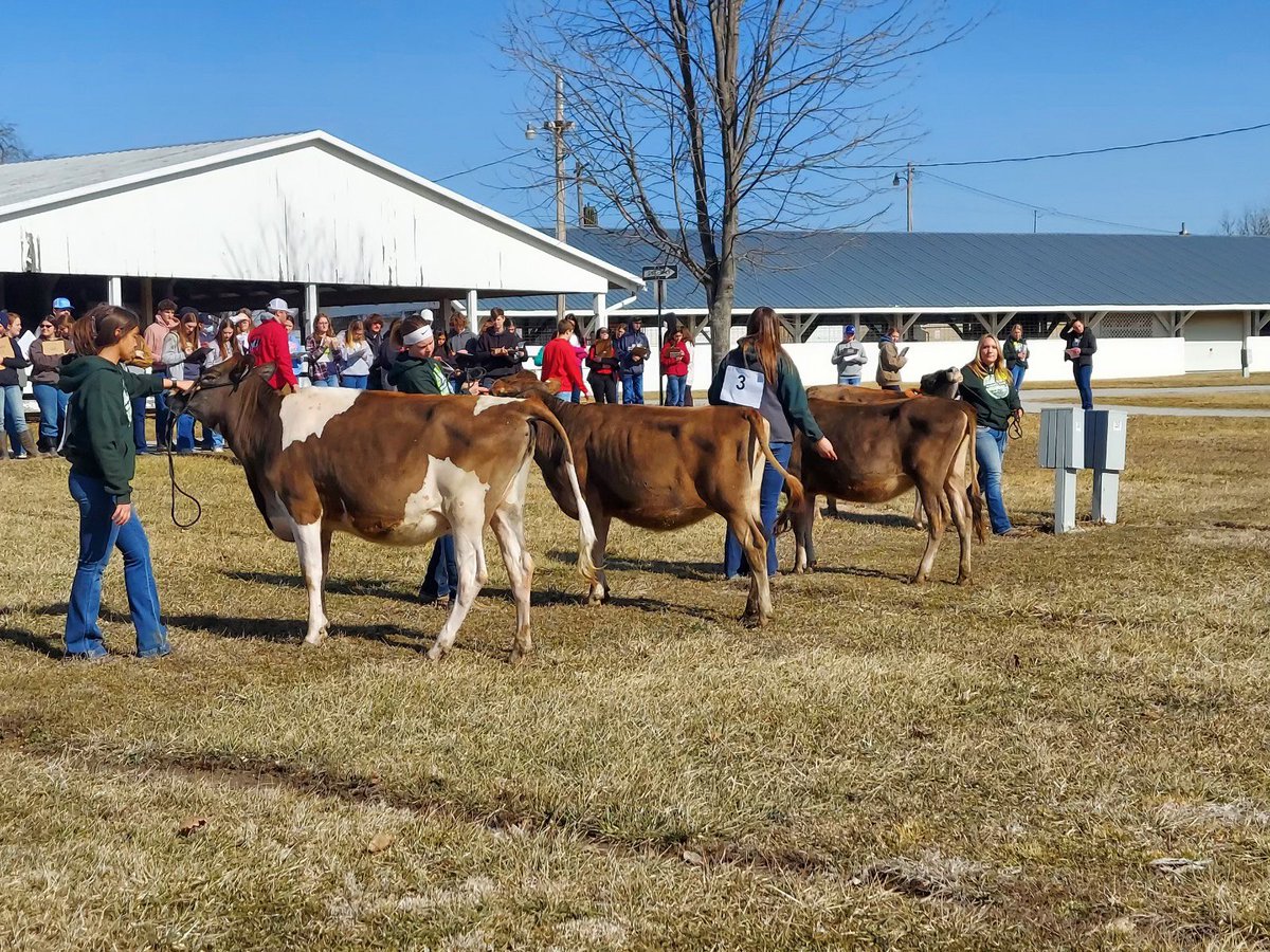 UnionCityFFA's tweet photo. Today we attended the Wilmington dairy, and livestock contest. We placed Mya-17th,  Jake-69th, Addison-83rd out of 139 kids. Sofia placed 597th out of 899 kids. Great job to those that competed! https://t.co/wCJCGRHFq9