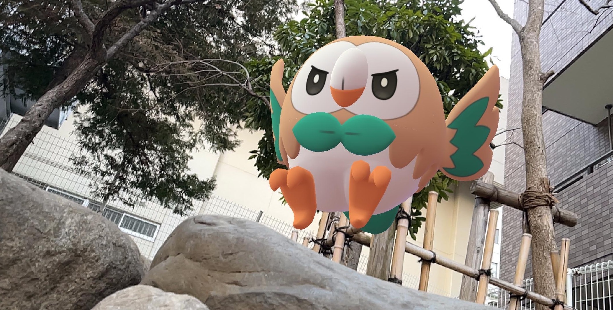 Twitter 上的 Pokemon Go Japan トレーナーの皆さん アローラ地方で発見されたポケモンはもうゲットしましたか モクロー や ニャビー アシマリ などのポケモンを捕まえた方は ぜひ Gosnapshot を投稿してくださいね ポケモンgo T Co