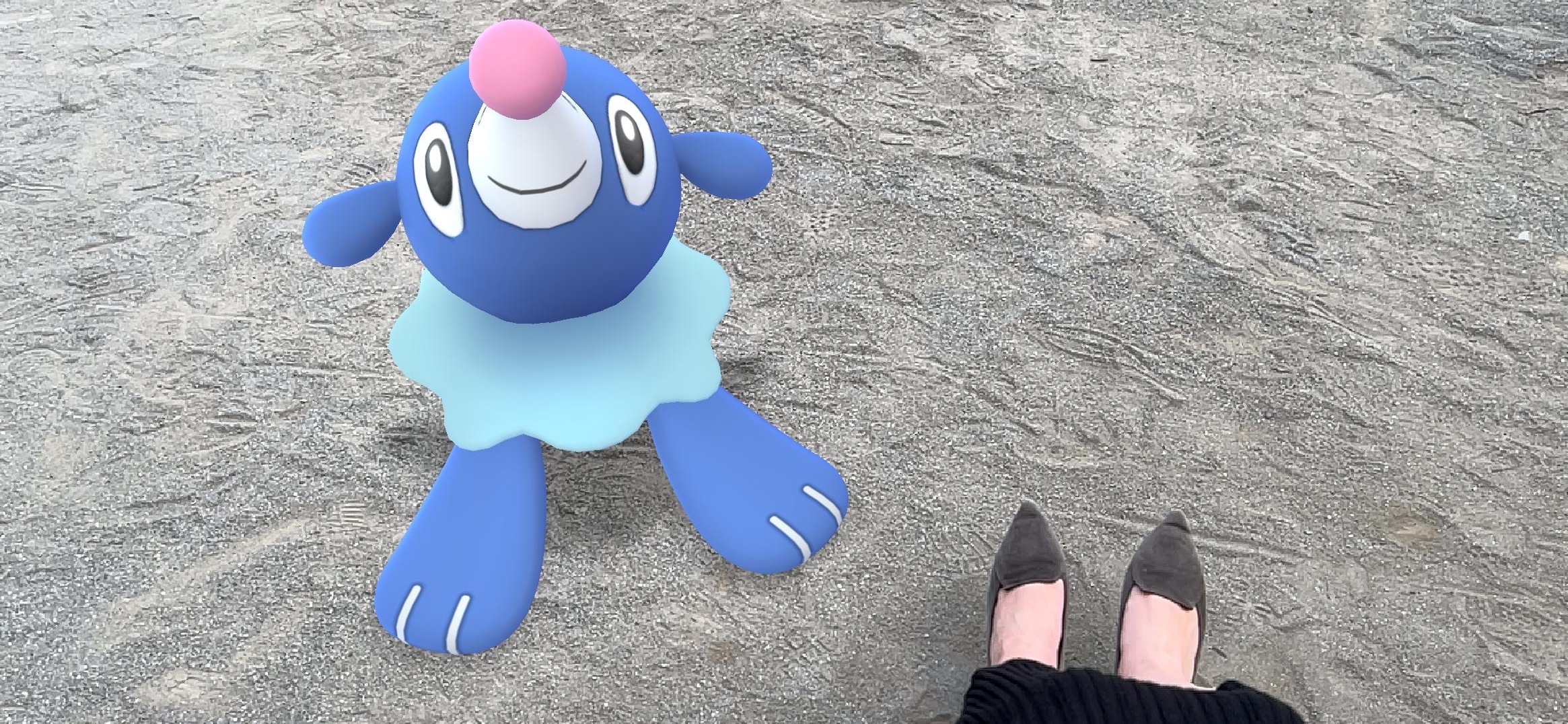Twitter 上的 Pokemon Go Japan トレーナーの皆さん アローラ地方で発見されたポケモンはもうゲットしましたか モクロー や ニャビー アシマリ などのポケモンを捕まえた方は ぜひ Gosnapshot を投稿してくださいね ポケモンgo T Co